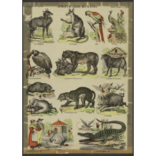 Animaux du jardin des plantes.