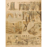Tableau mural. La vainilla.
