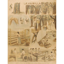 Tableau mural. La vainilla.