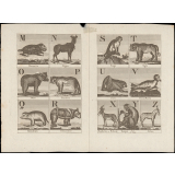 Alphabet de l'histoire des animaux orné de 27 gravures. 