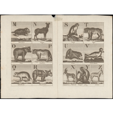 Alphabet de l'histoire des animaux orné de 27 gravures. 