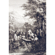 J. J. Rousseau herborisant.