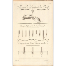 L'art d'écrire. Planche IV. Posture de la main et du canif.