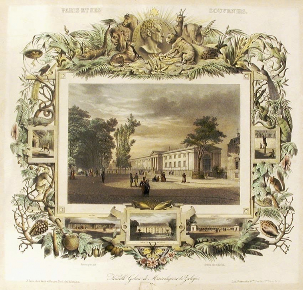 Nouvelle Galerie de Minéralogie et de Zoologie.