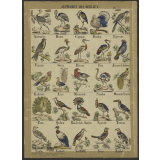 Alphabet des oiseaux. Imagerie d'Epinal. 581.