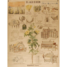 Tableau mural. El algodon. El Maiz.