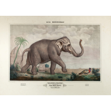 Tableau mural. Asia méridionale. 