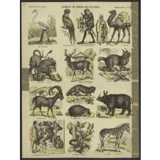Animaux du jardin des plantes.