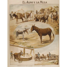 Tableau mural. El asno y la mula.