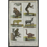 Images d'animaux. Planche de l'imagerie de Lille. 