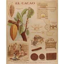 Tableau mural. El cacao.