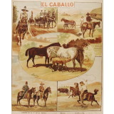 Tableau mural. El caballo.