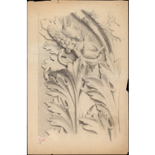 Frise de feuilles d'acanthe, d'oiseaux et de raisins.