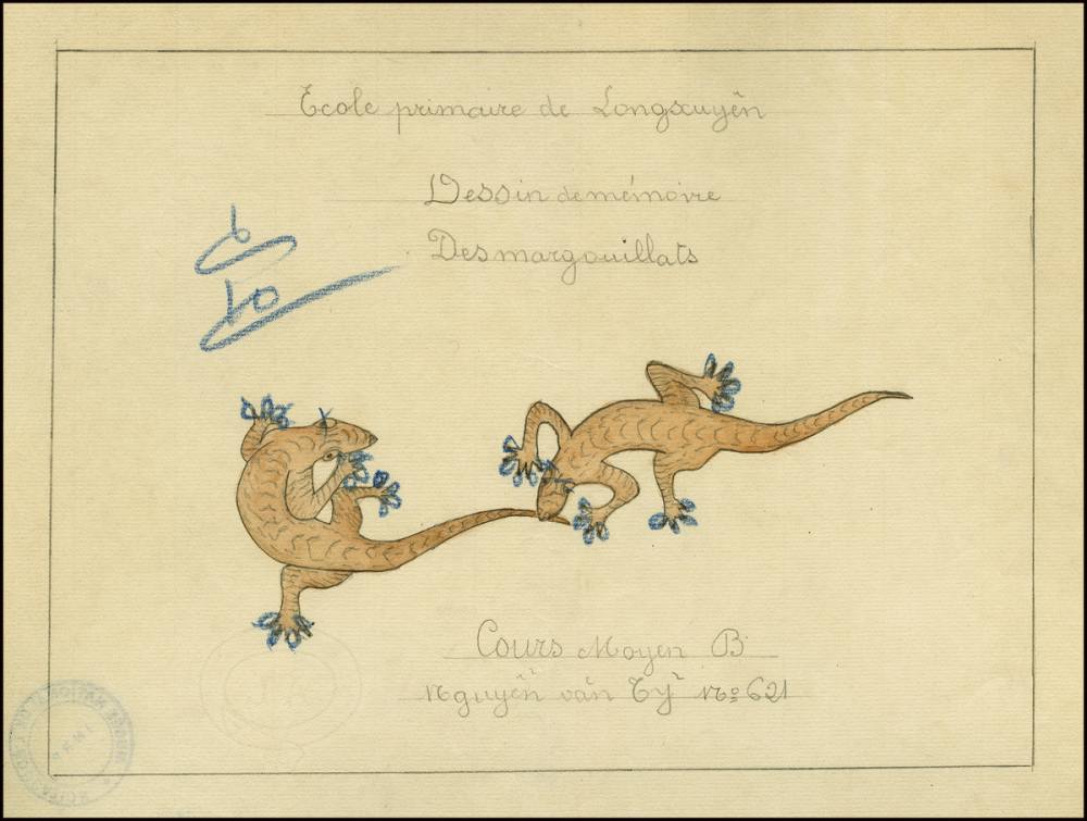 Cochinchine/Dessin de mémoire : des margouillats.
