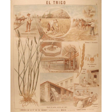 Tableau mural. El trigo.