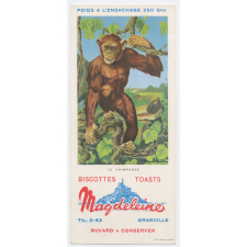 Buvard publicitaire. Biscottes Magdeleine. Le chimpanzé.