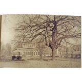 Université Catholique de Louvain - Catholic University of Louvain - Catholieke Hoogeschool van Leuven - 2e série - Jardin Botanique, créé en 1819 pour l'Université - Botanic Garden laid out for the University in 1819 - Kruidtuin, aangelegd in 1819 ter gerieve der Hoogeschool.