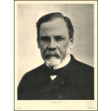 Louis Pasteur (1822-1895).