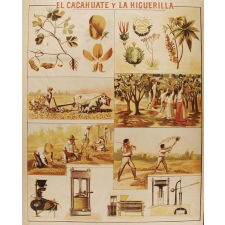 Tableau mural. El cacahuate y la higuerilla.
