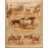 Tableau mural. El caballo.
