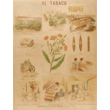 Tableau mural. El tabaco.