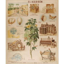 Tableau mural. El algodon.