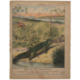 Chasse au crocodile à Ceylan - La chasse n°5.