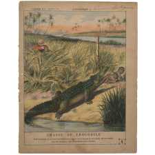 Chasse au crocodile à Ceylan - La chasse n°5.