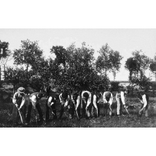 Ecole Normale d'Instituteurs de Châteauroux - Exercice de sarclage (le 9 octobre 1899). 
