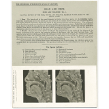 197. Sagittal section of the Nose, Mouth, and Pharynx. The Edinburgh Stereoscopic Atlas of Anatomy. Head and Neck. Nose and pharynx - N°1. 