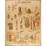 Tableau mural. Las abejas.