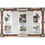 Histoire Naturelle Populaire : Pl. N° 4- Les ennemis et les auxillaires naturels des Cultivateurs publié par ordre du Ministre de l'Instruction Publique pour les Écoles primaires, cours d'adultes, etc.