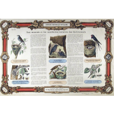 Histoire Naturelle Populaire : Pl. N° 4- Les ennemis et les auxillaires naturels des Cultivateurs publié par ordre du Ministre de l'Instruction Publique pour les Écoles primaires, cours d'adultes, etc.