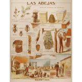 Tableau mural. El azùcar.