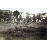 Ecole Normale d'Instituteurs d'Angers - Elèves de 2ème année au jardin. 