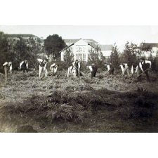Ecole Normale d'Instituteurs d'Angers - Elèves de 2ème année au jardin. 