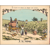 Tableaux muraux. 34 Leçons de Choses en Images sans paroles en tableaux muraux à raconter par les Petits. 5- La boulangerie. 6- La vendange.