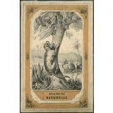 Histoire naturelle. Illustrations