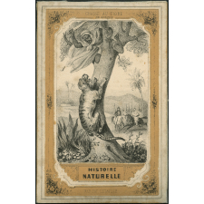 Histoire naturelle. Illustrations