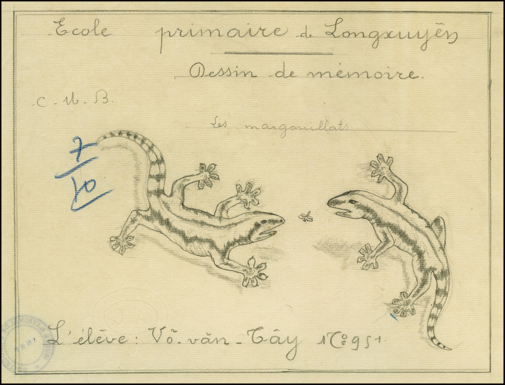 Cochinchine/Dessin de mémoire : des margouillats.