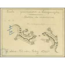 Cochinchine/Dessin de mémoire : des margouillats.