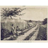 Sur le chemin de l'école.
