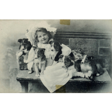 La Fillette et les petits chiens. 