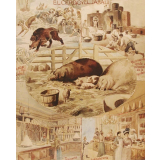 Tableau mural. El cerdo y el jalabi.