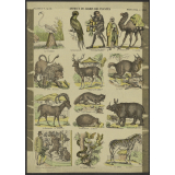 Animaux du jardin des plantes.