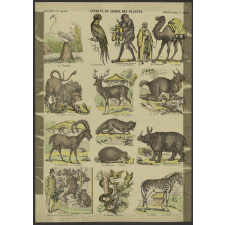 Animaux du jardin des plantes.
