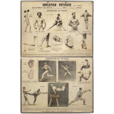 Tableaux muraux d'éducation physique : Exercices de force. Exercices de vitesse.