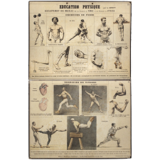 Tableaux muraux d'éducation physique : Exercices de force. Exercices de vitesse.
