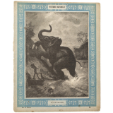 Le Dinotherium - Histoire naturelle n°32.