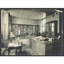 Salle réservée aux sciences naturelles.